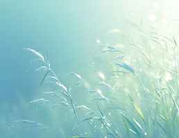 佛学之哲学思想及方法论9（临时版）